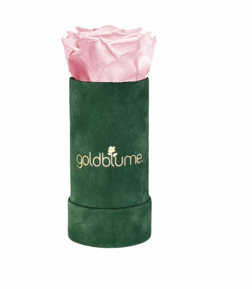 Velvet Green Collection - Goldblume