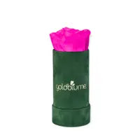 Velvet Green Collection