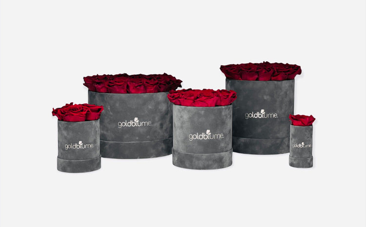 Velvet Collection - Goldblume 
