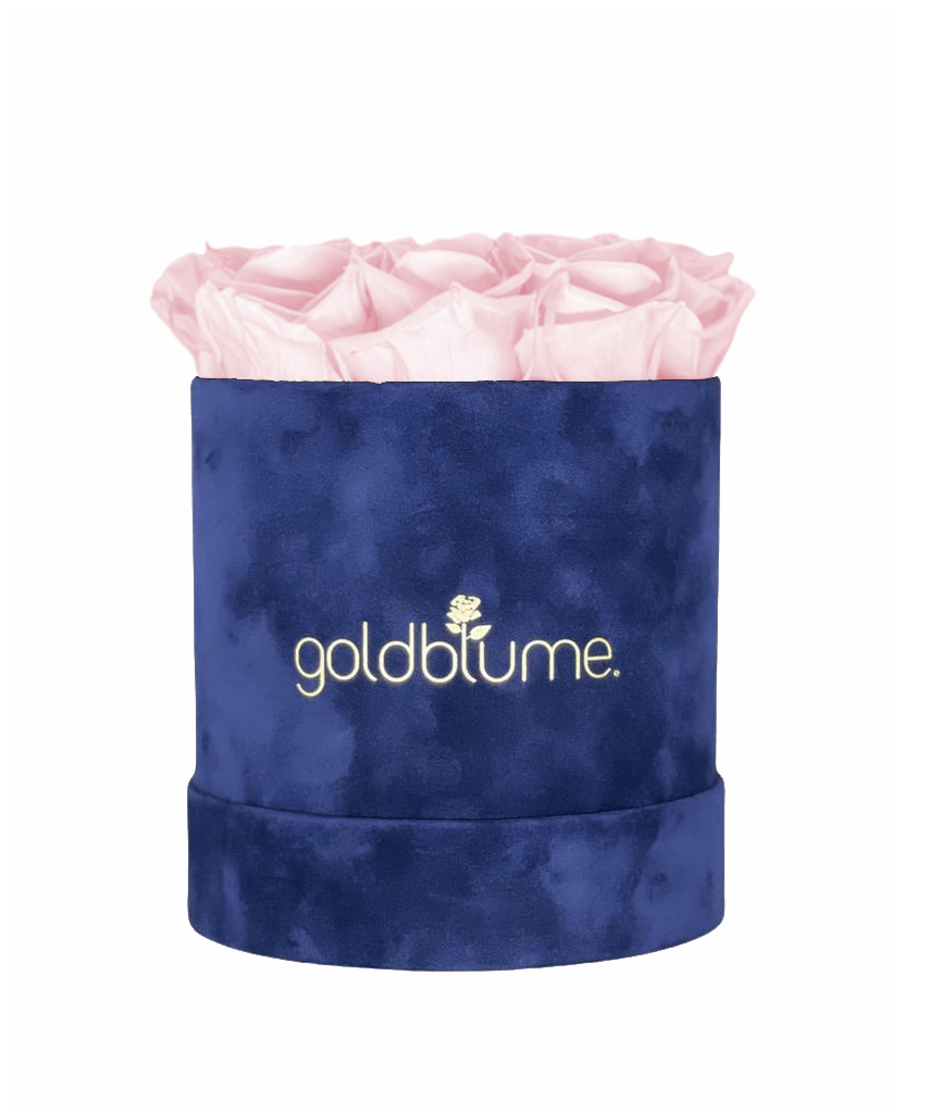 Velvet Royal Collection - Goldblume 