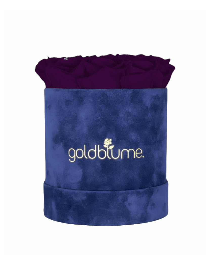 Velvet Royal Collection - Goldblume 