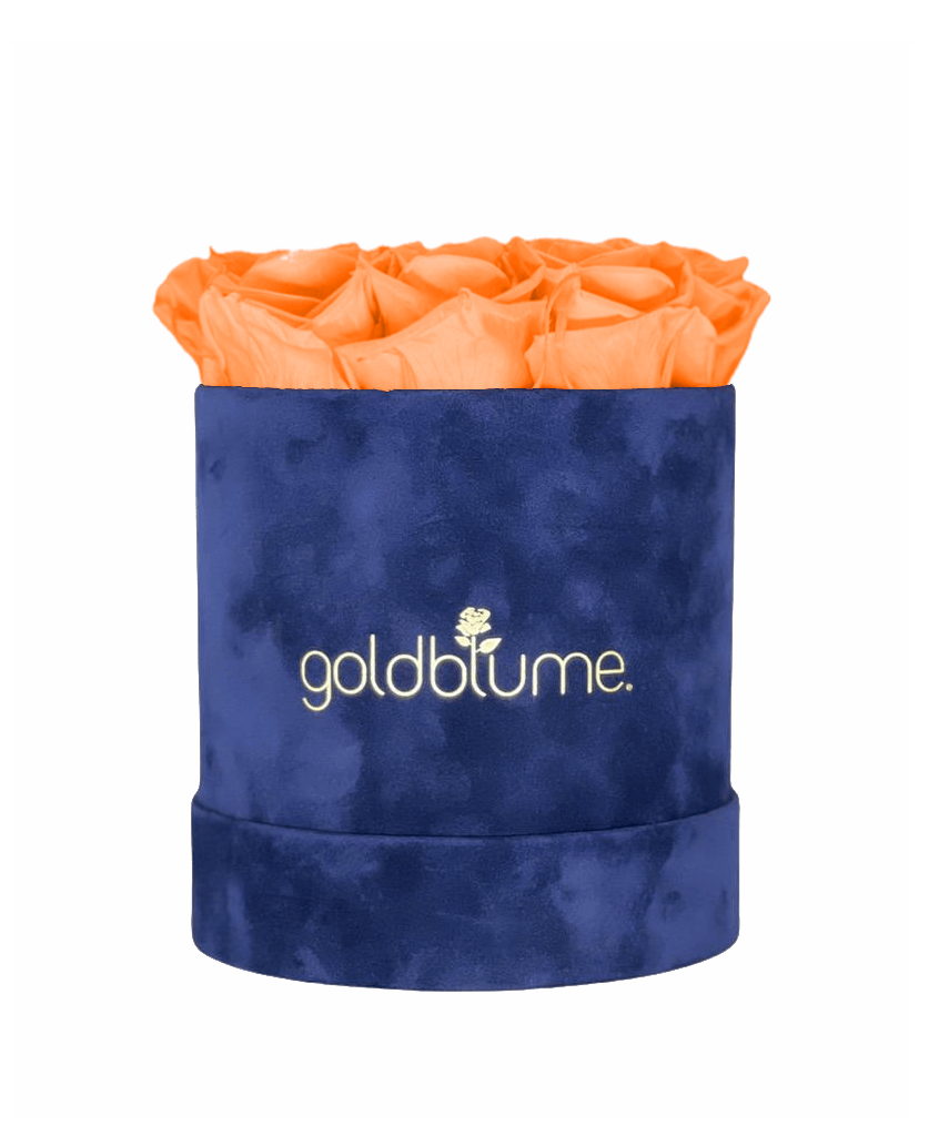 Velvet Royal Collection - Goldblume 