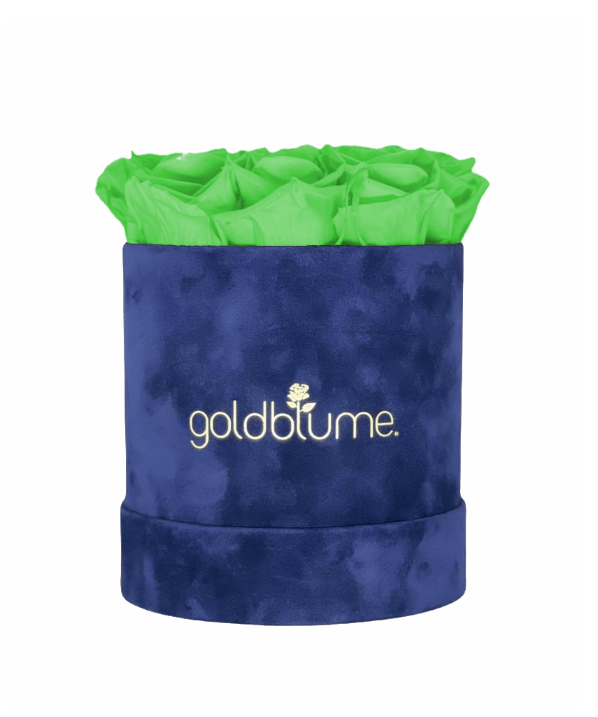 Velvet Royal Collection - Goldblume 