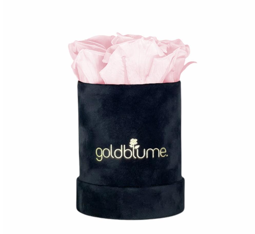 Velvet Black Collection - Goldblume 