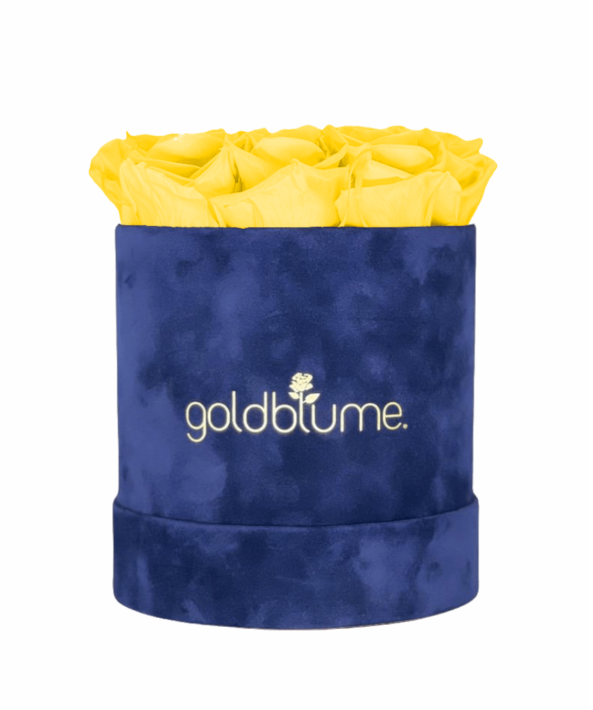 Velvet Royal Collection - Goldblume 