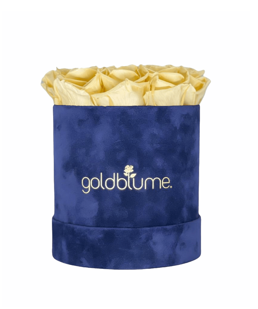 Velvet Royal Collection - Goldblume 