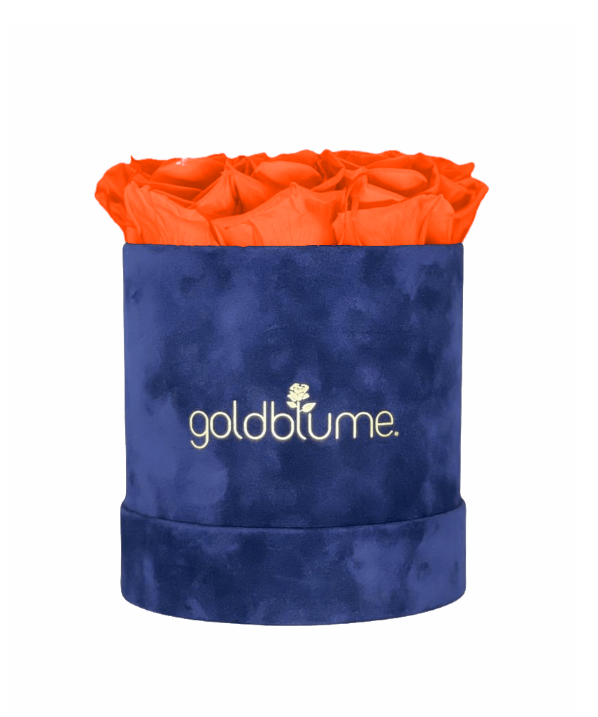 Velvet Royal Collection - Goldblume 