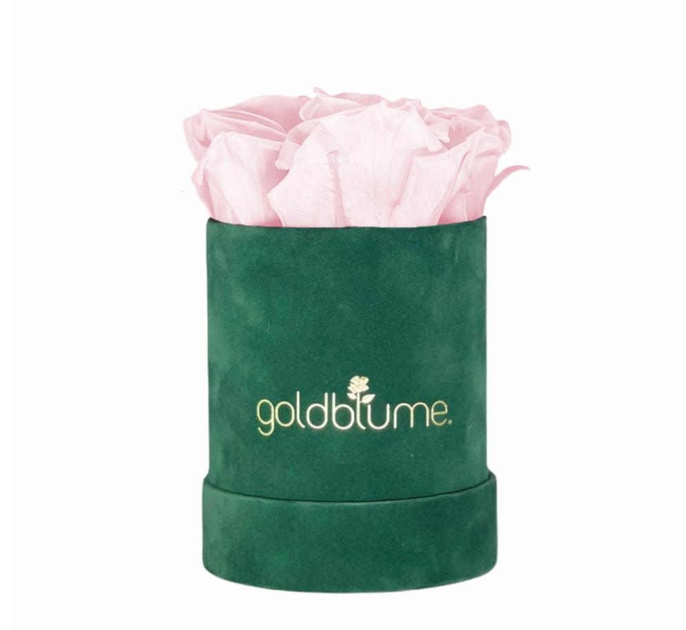 Velvet Green Collection - Goldblume 