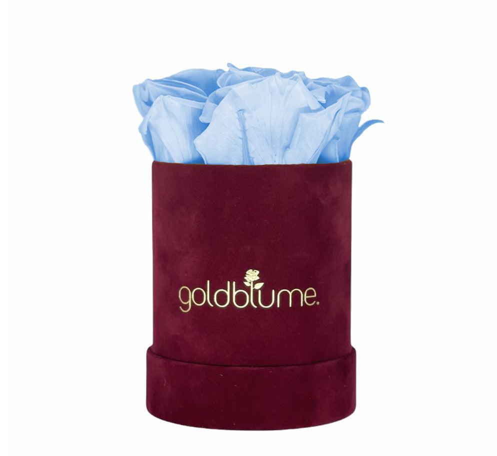 Velvet Bordeaux Collection - Goldblume 