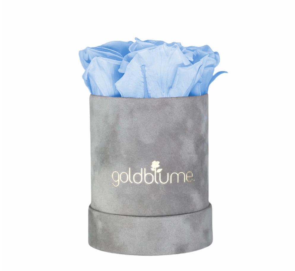 Velvet Grey Collection - Goldblume 