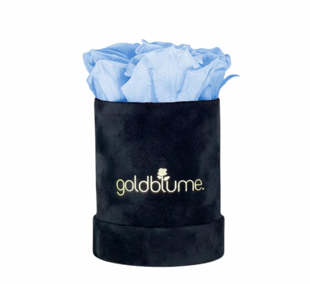 Velvet Black Collection - Goldblume 