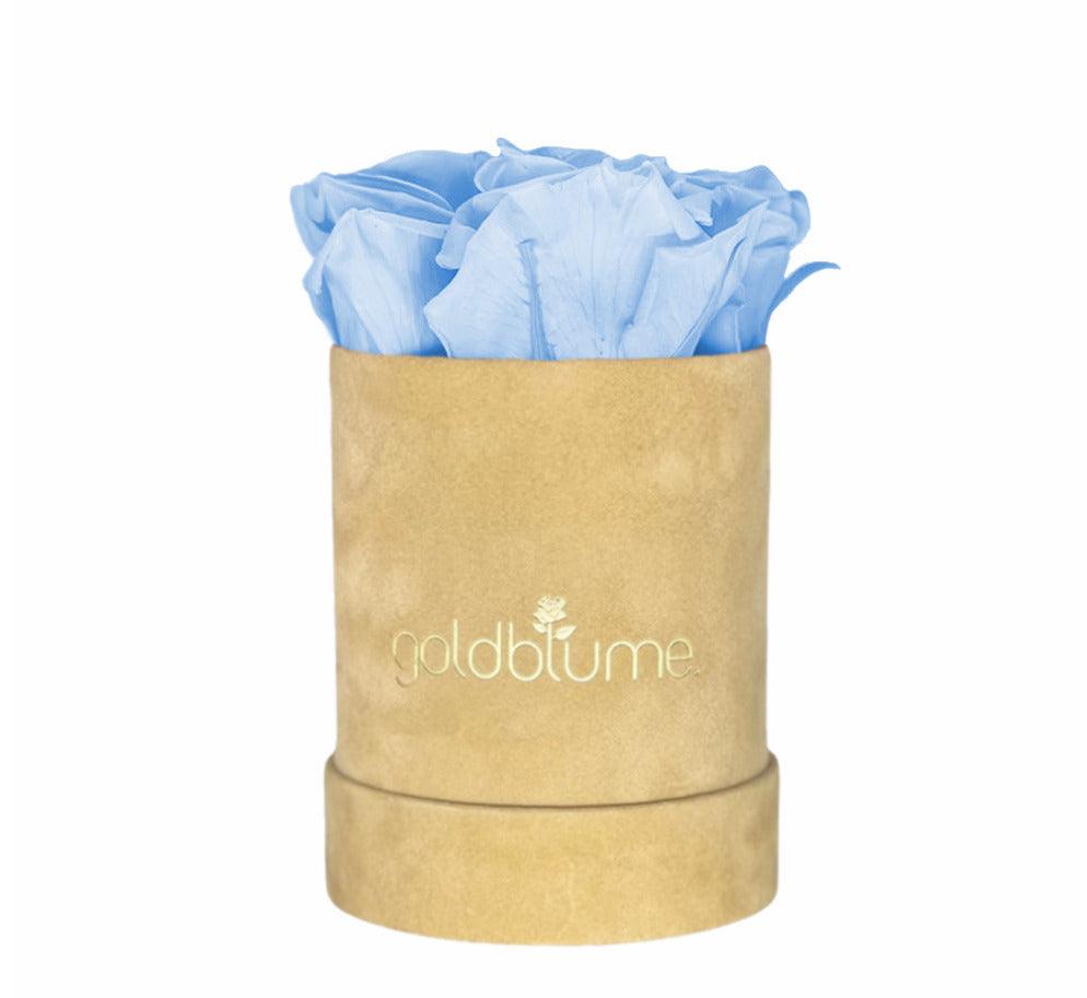 Velvet Beige Collection - Goldblume 