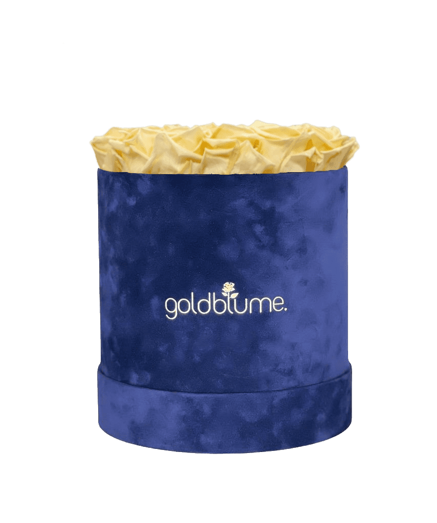 Velvet Royal Collection - Goldblume 