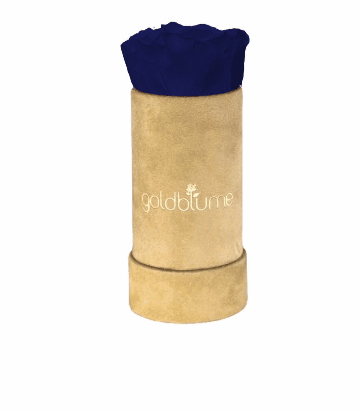 Velvet Beige Collection - Goldblume 