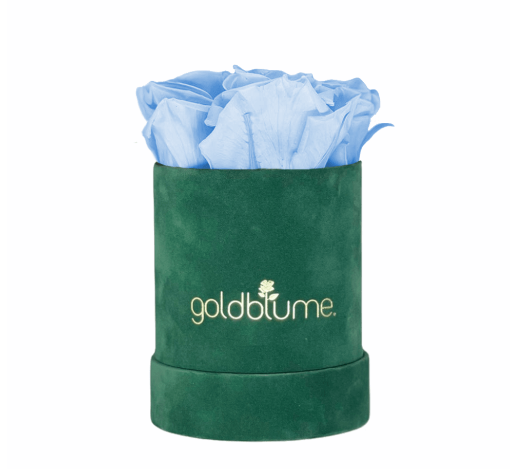 Velvet Green Collection - Goldblume 