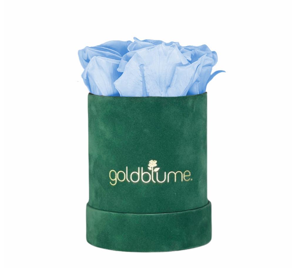 Velvet Green Collection - Goldblume 