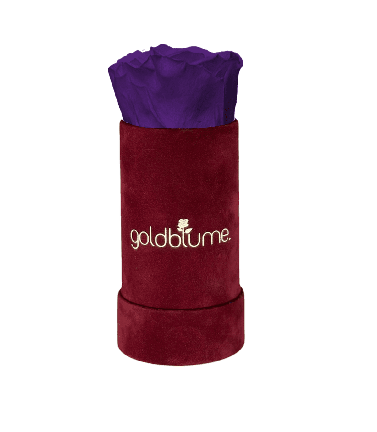 Velvet Bordeaux Collection - Goldblume 