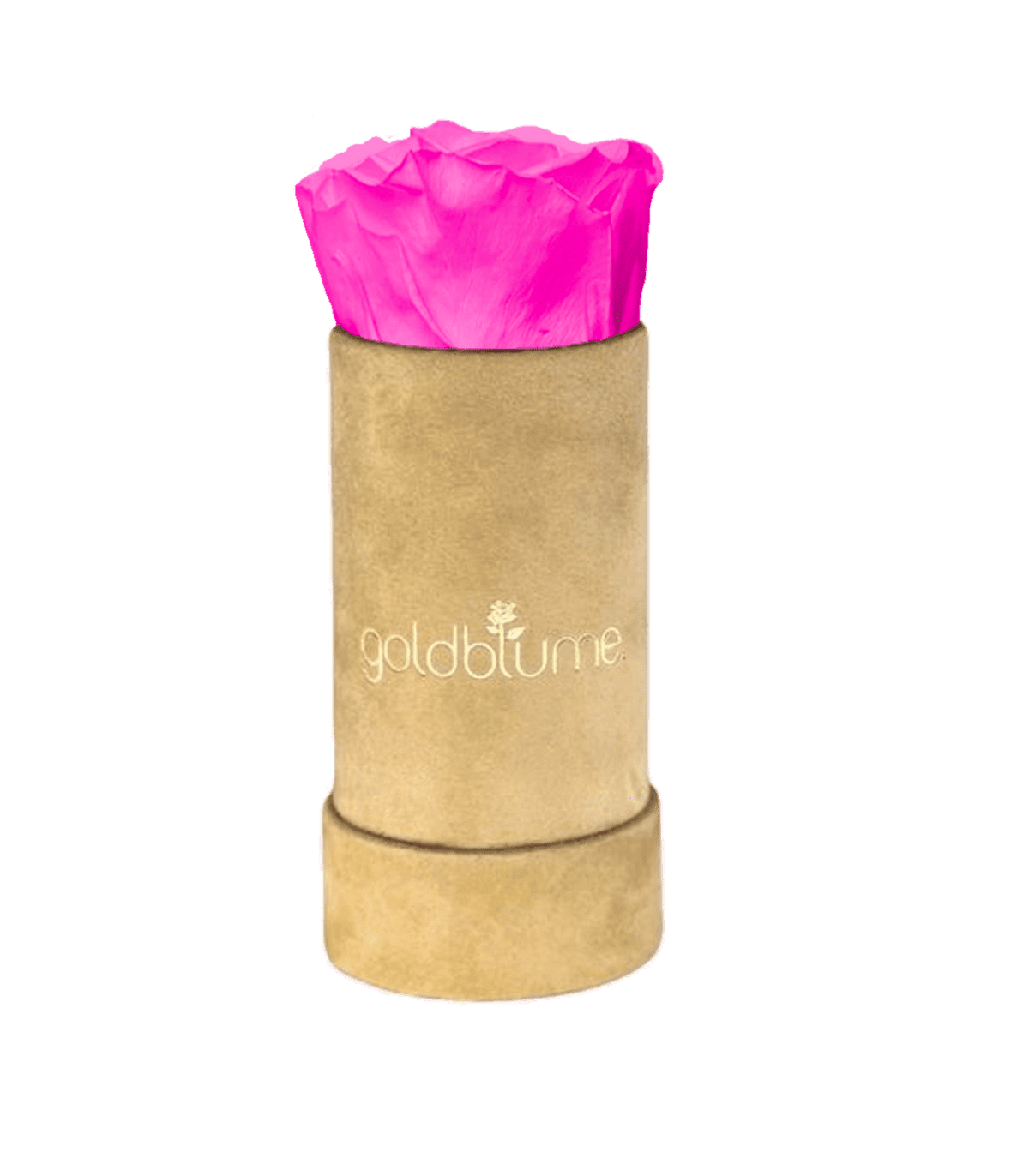 Velvet Beige Collection - Goldblume 