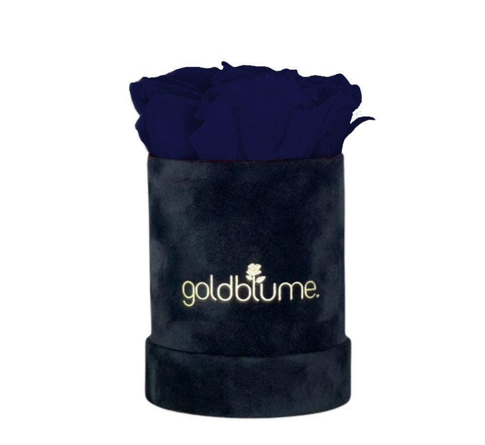 Velvet Black Collection - Goldblume 