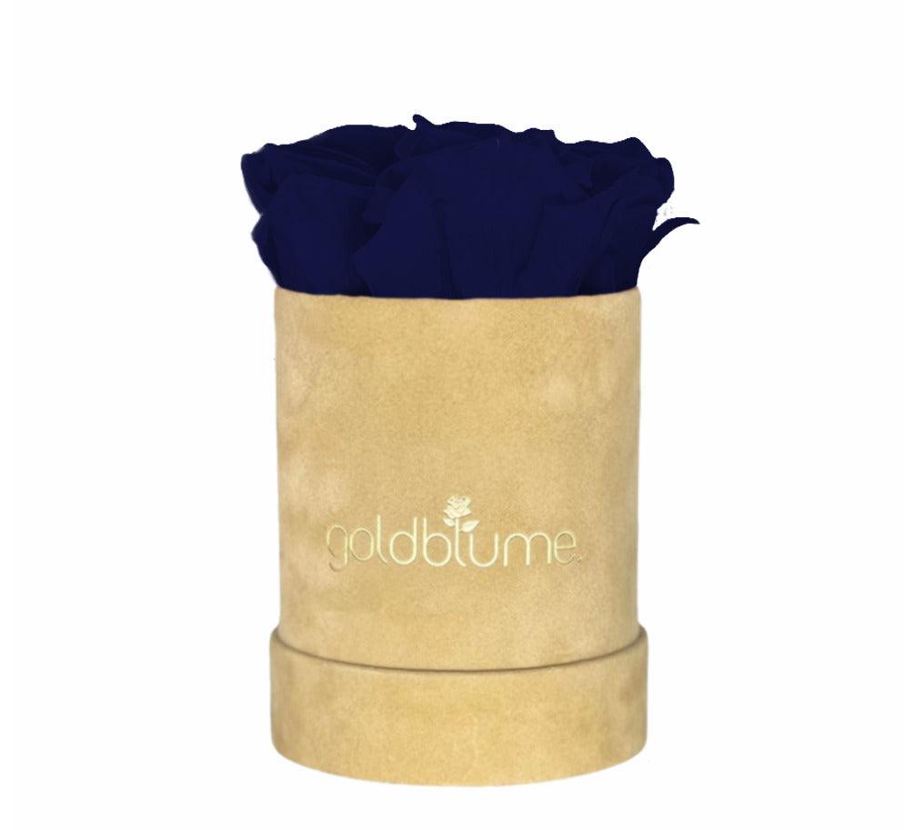 Velvet Beige Collection - Goldblume 