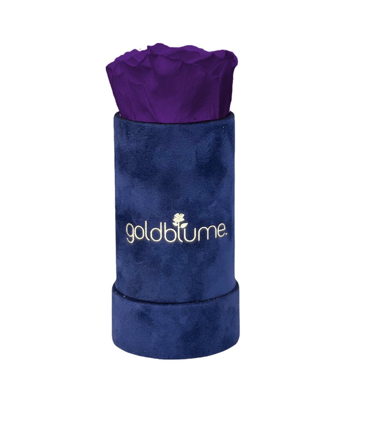 Velvet Royal Collection - Goldblume 