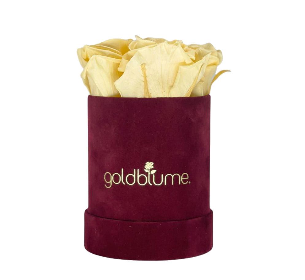 Velvet Bordeaux Collection - Goldblume 