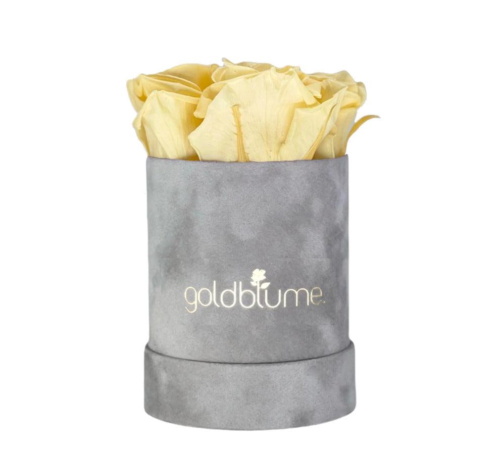 Velvet Grey Collection - Goldblume 