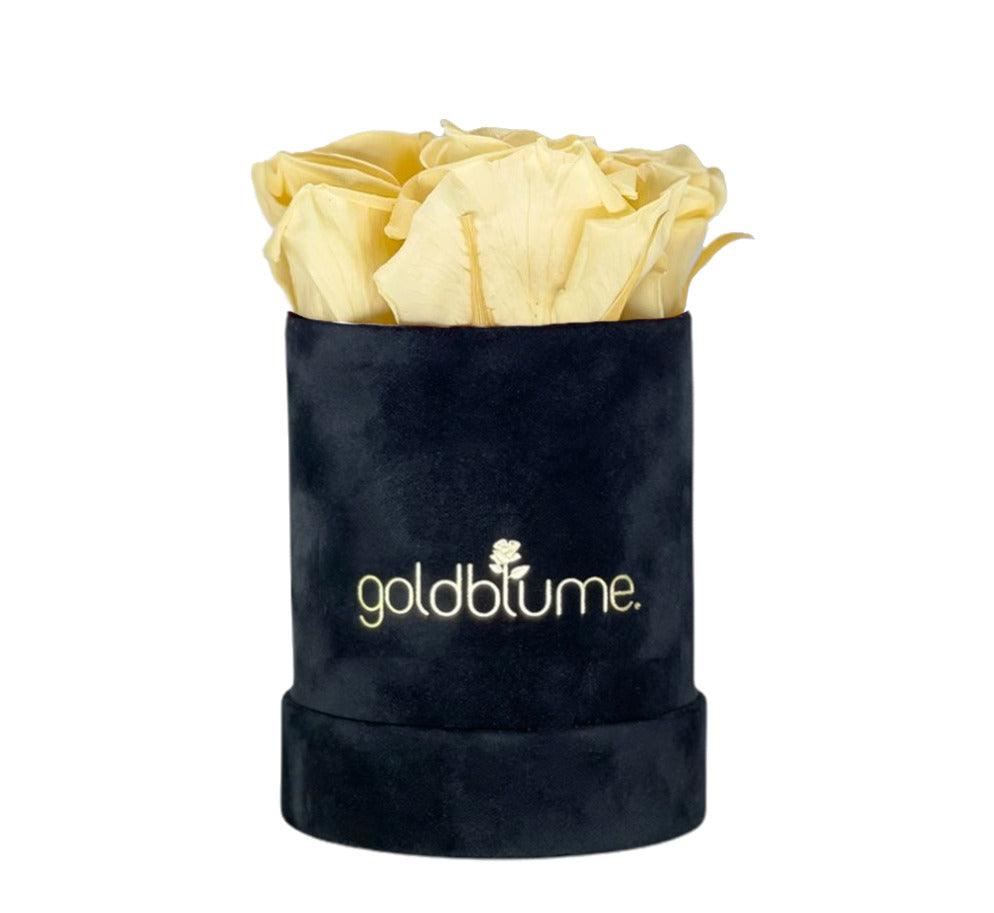 Velvet Black Collection - Goldblume 