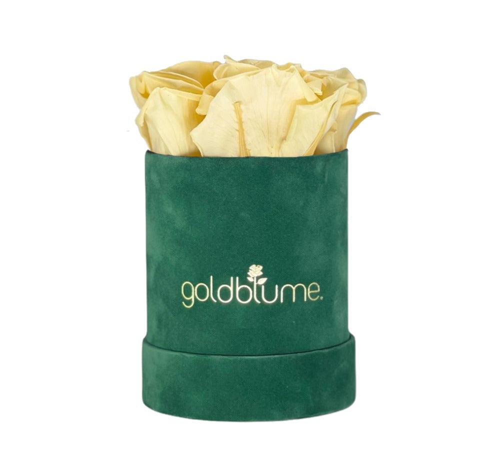Velvet Green Collection - Goldblume 