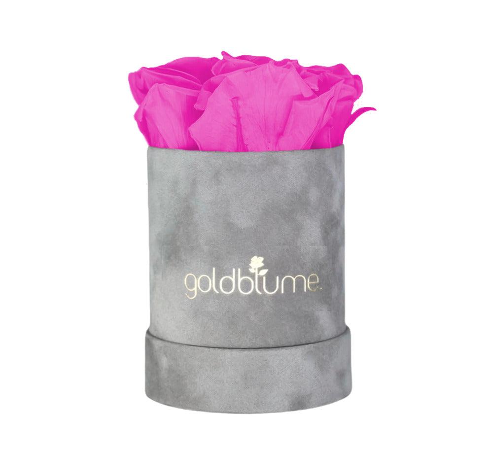 Velvet Grey Collection - Goldblume 