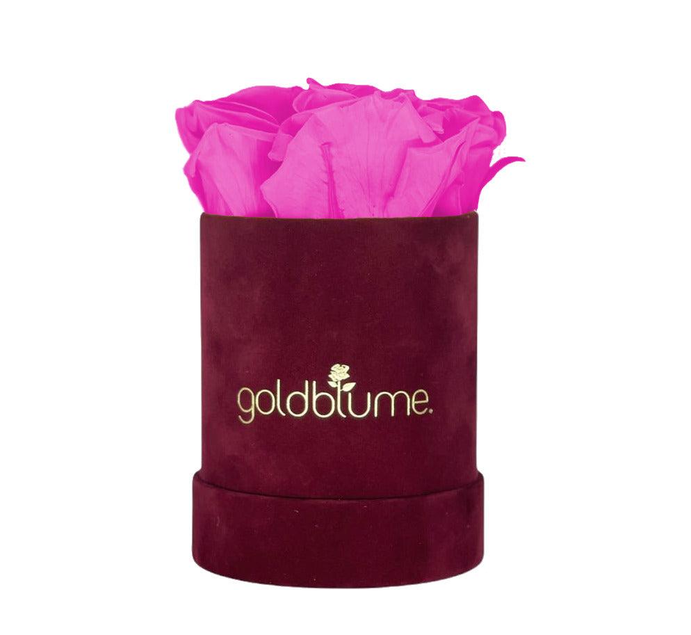 Velvet Green Collection - Goldblume 