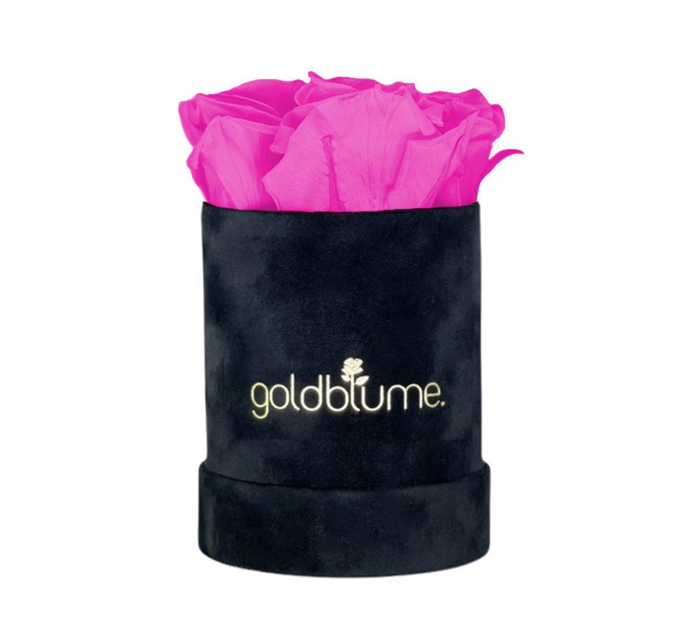 Velvet Black Collection - Goldblume 