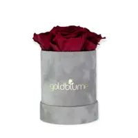 Velvet Grey Collection - Goldblume 