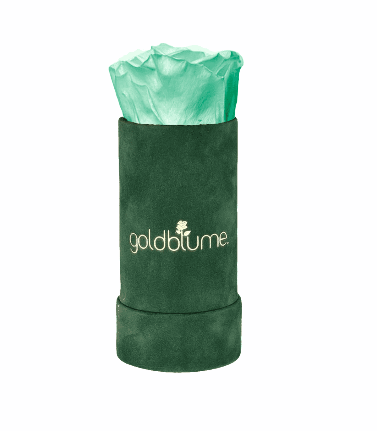 Velvet Green Collection - Goldblume 