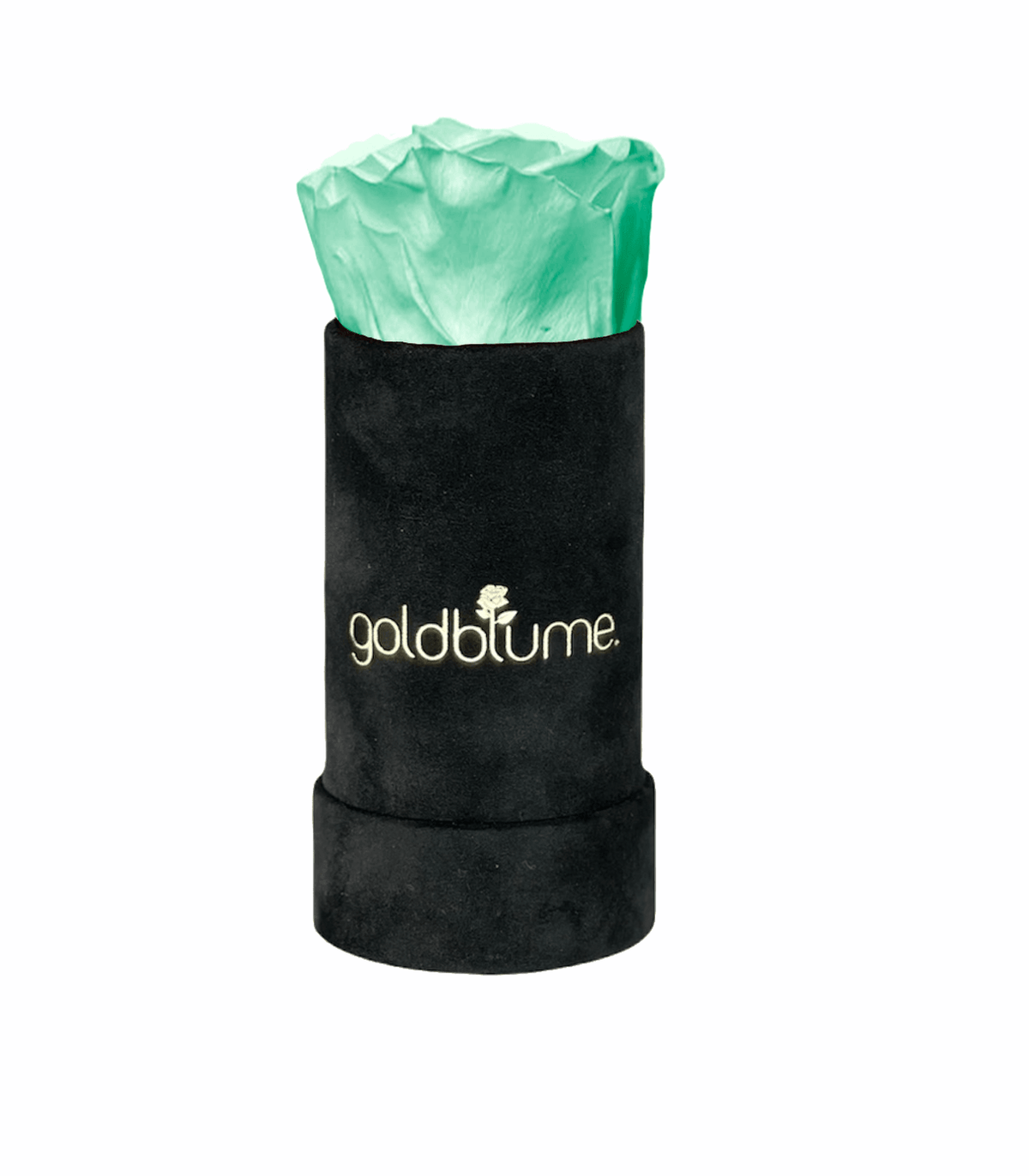 Velvet Black Collection - Goldblume 