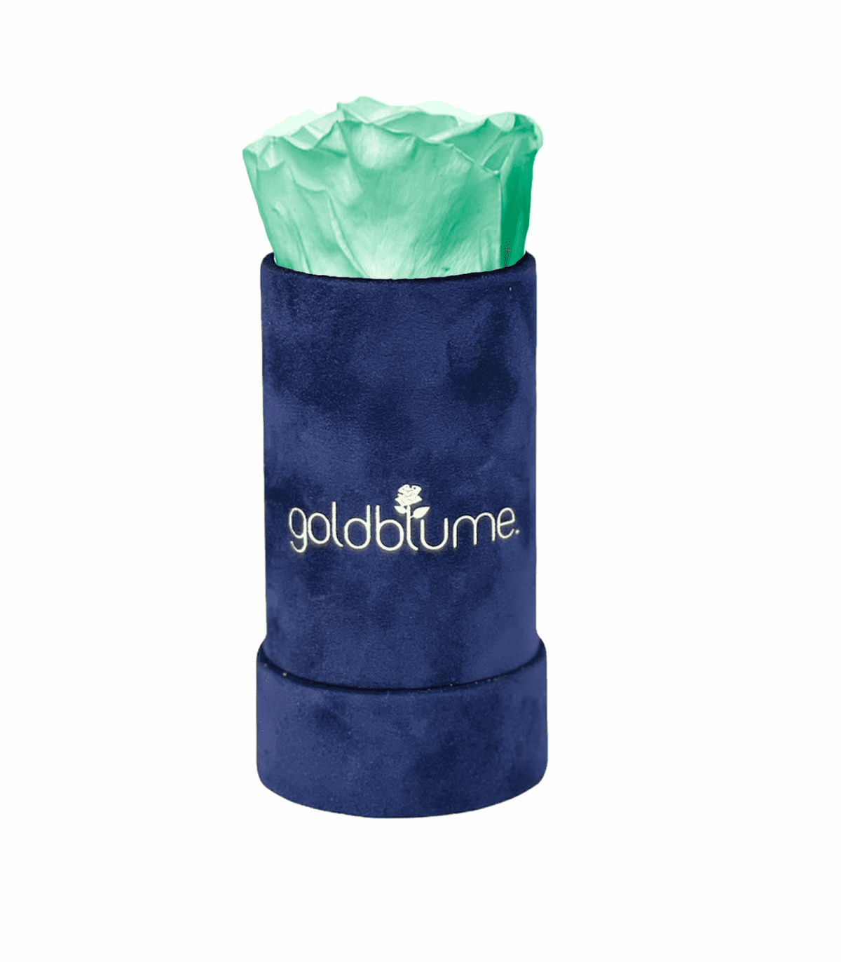 Velvet Royal Collection - Goldblume 
