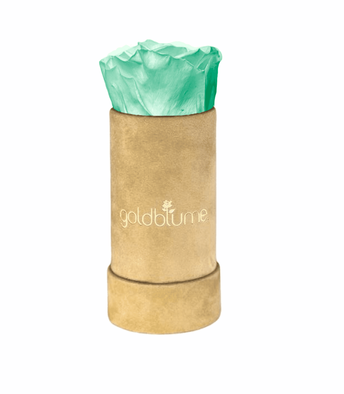 Velvet Beige Collection - Goldblume 