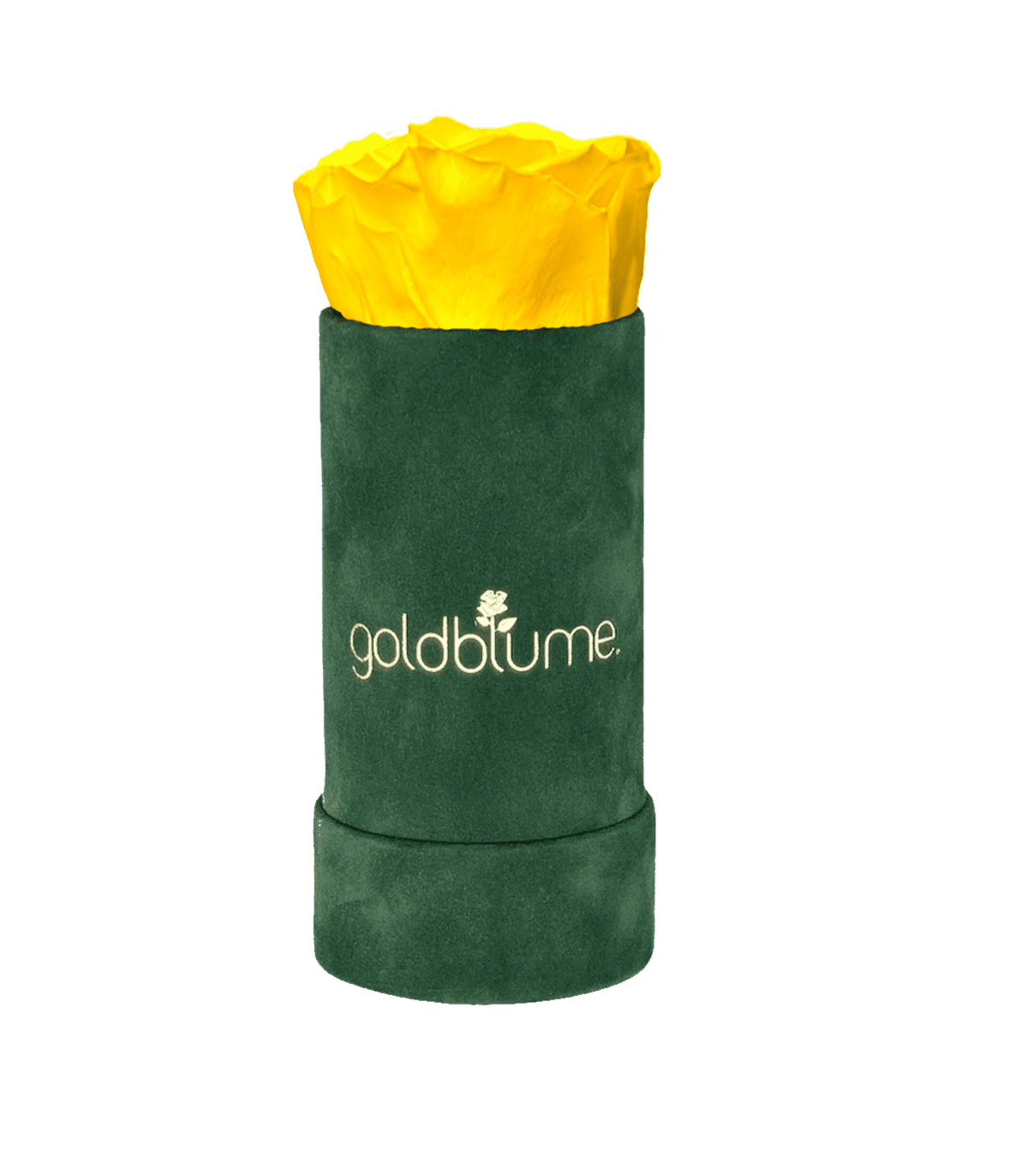 Velvet Green Collection - Goldblume 