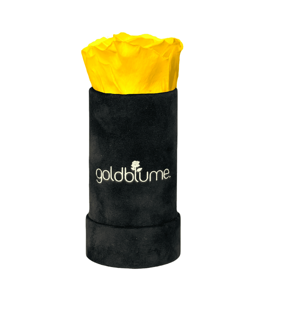 Velvet Black Collection - Goldblume 