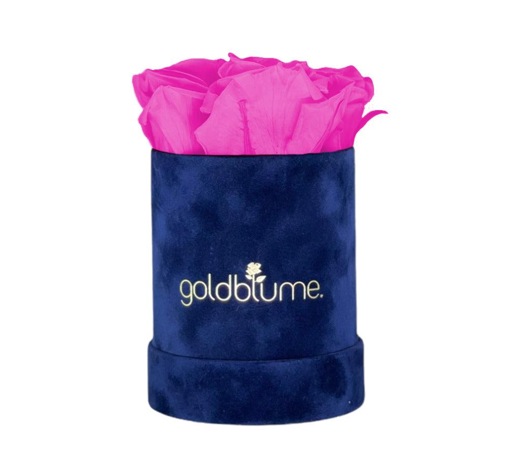 Velvet Royal Collection - Goldblume 