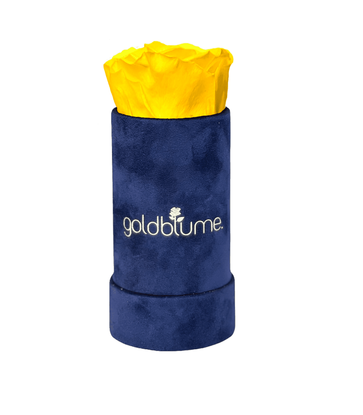Velvet Royal Collection - Goldblume 