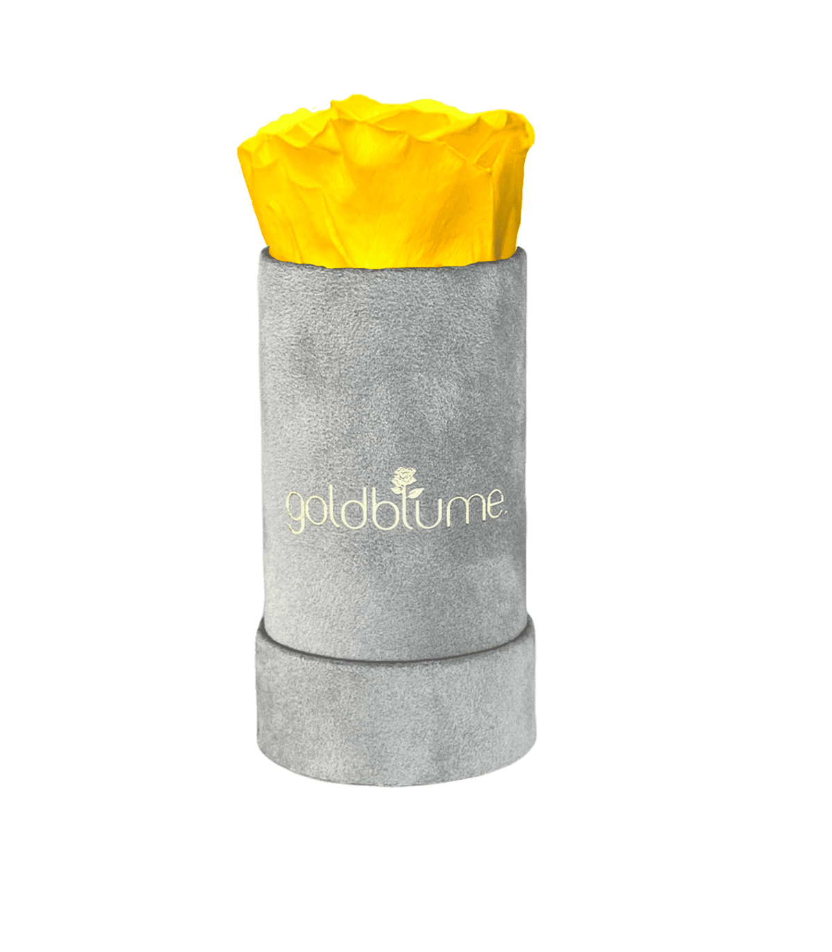 Velvet Grey Collection - Goldblume 
