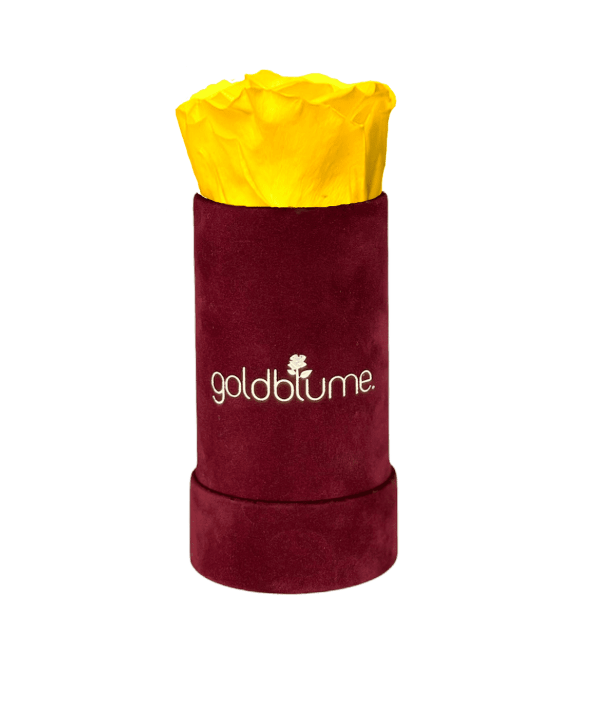 Velvet Bordeaux Collection - Goldblume 