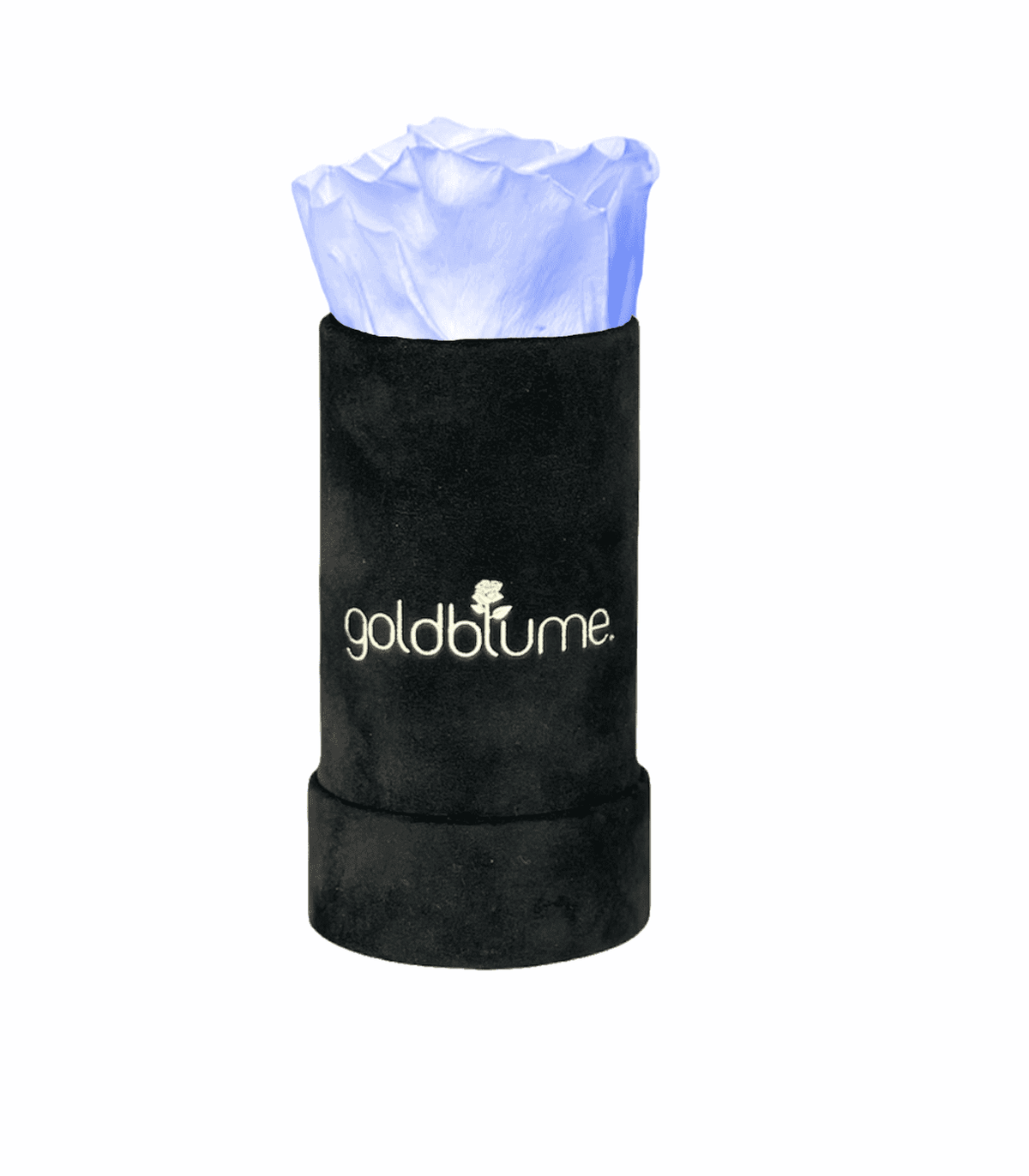 Velvet Black Collection - Goldblume 