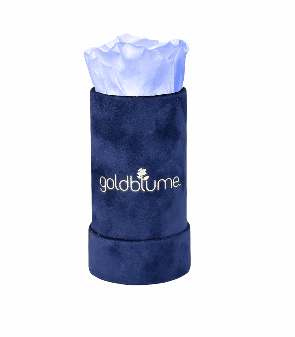 Velvet Royal Collection - Goldblume 