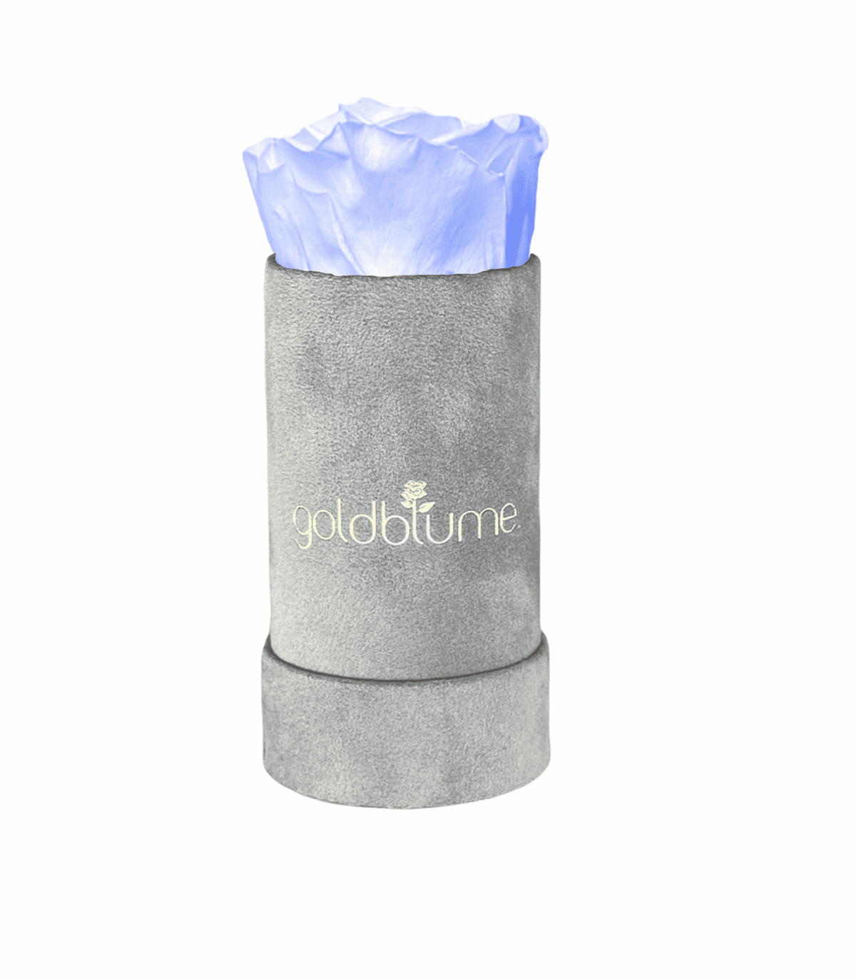 Velvet Grey Collection - Goldblume 