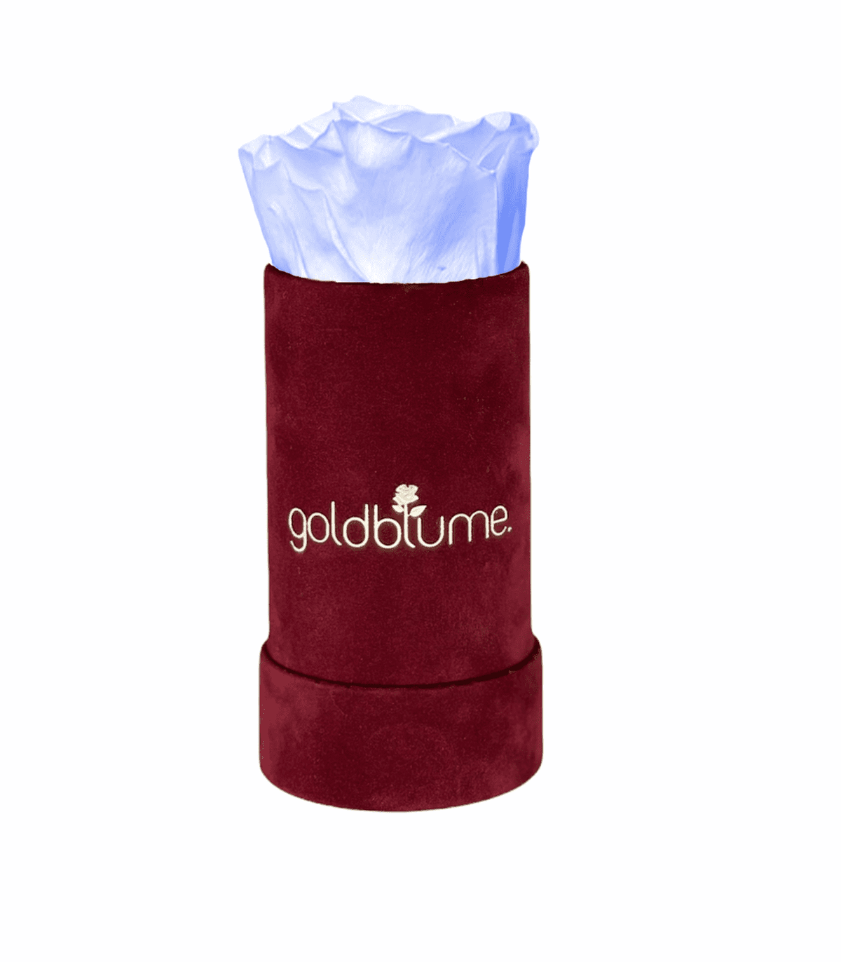 Velvet Bordeaux Collection - Goldblume 
