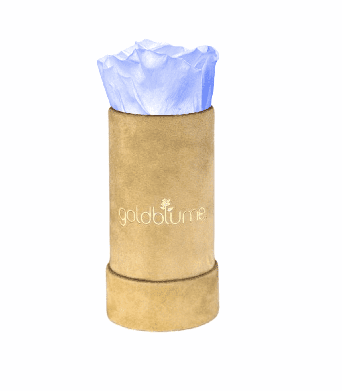 Velvet Beige Collection - Goldblume 