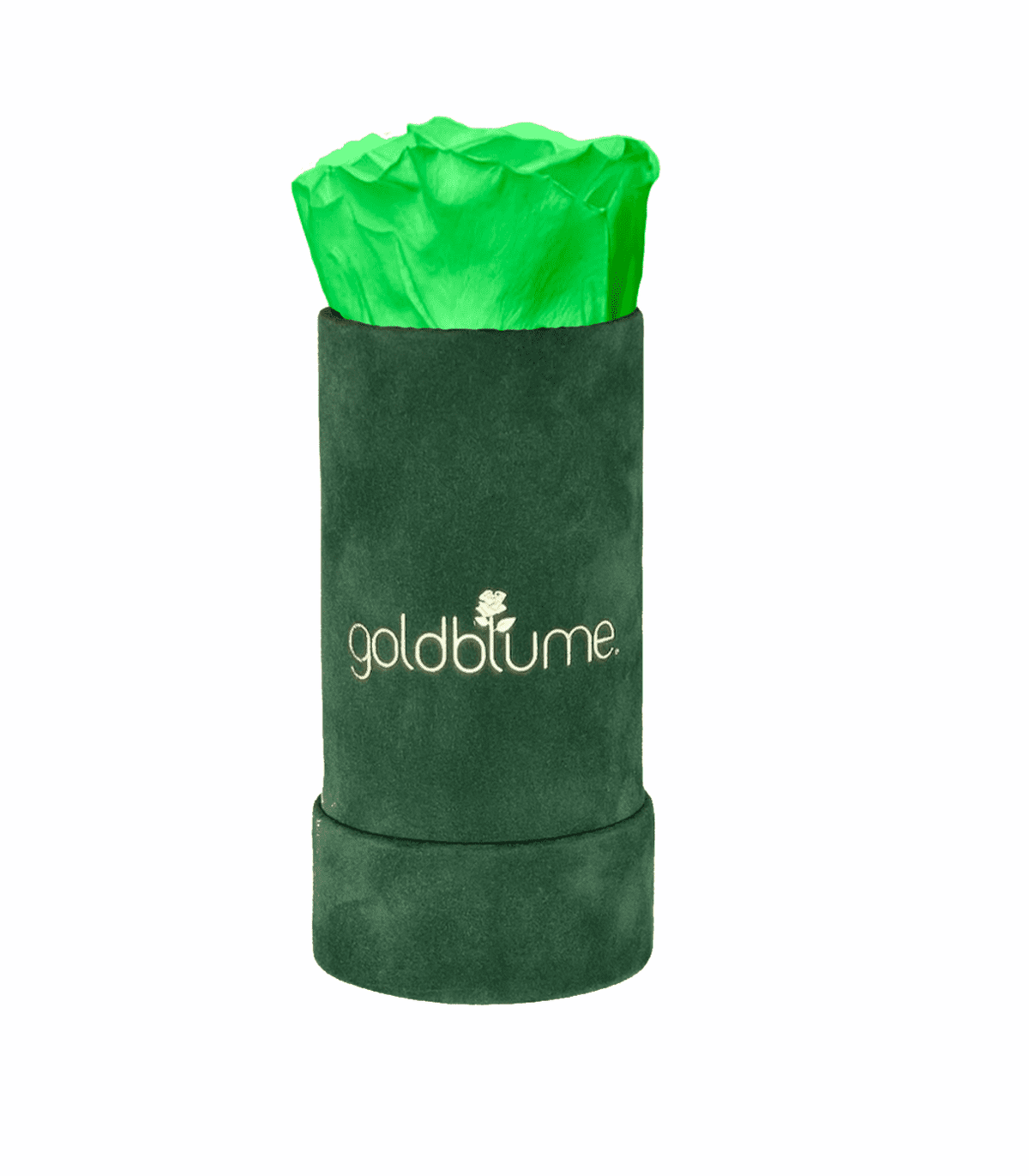 Velvet Green Collection - Goldblume 