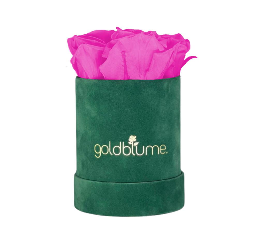Velvet Green Collection - Goldblume 